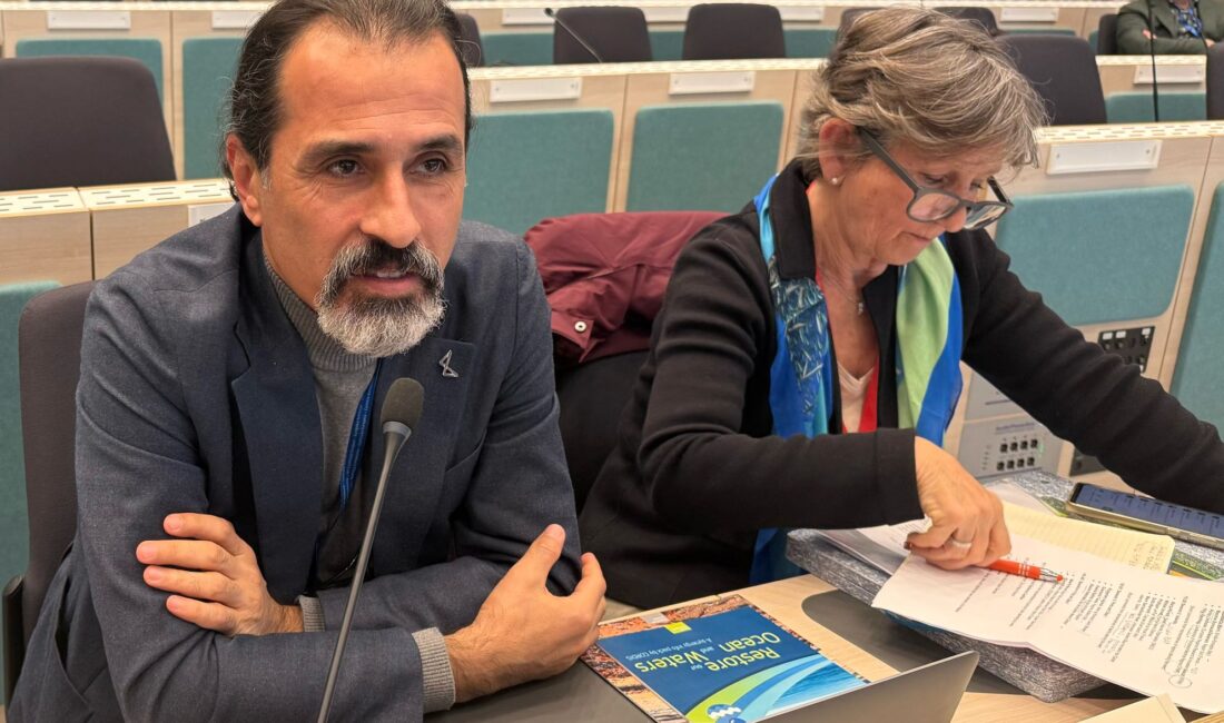 Mersin Büyükşehir Belediyesi, Akdeniz