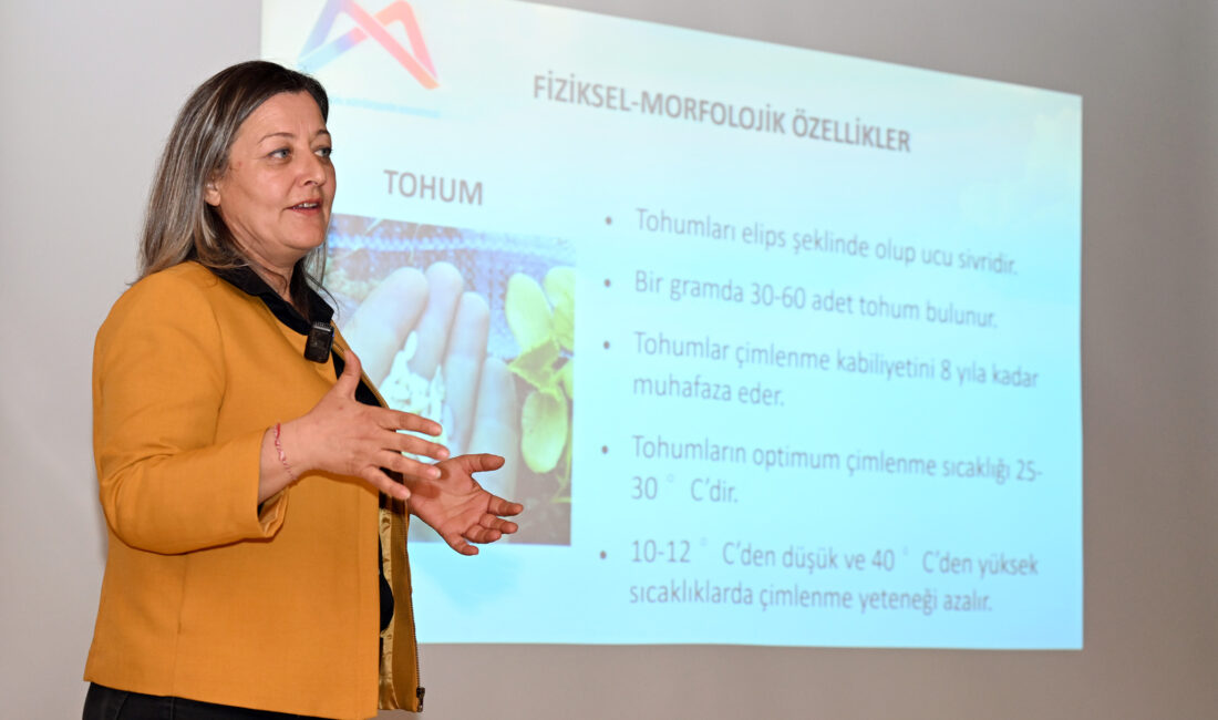 Mersin Büyükşehir Belediyesi Tarımsal