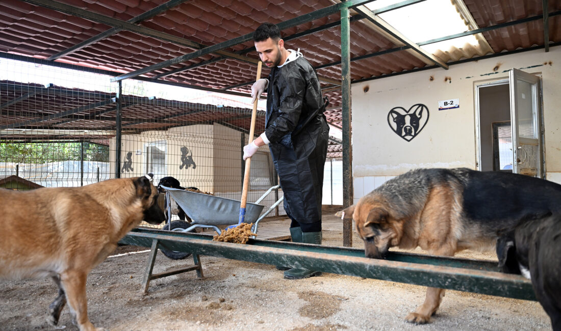 ‘Mersin’de yaşayan her canlının