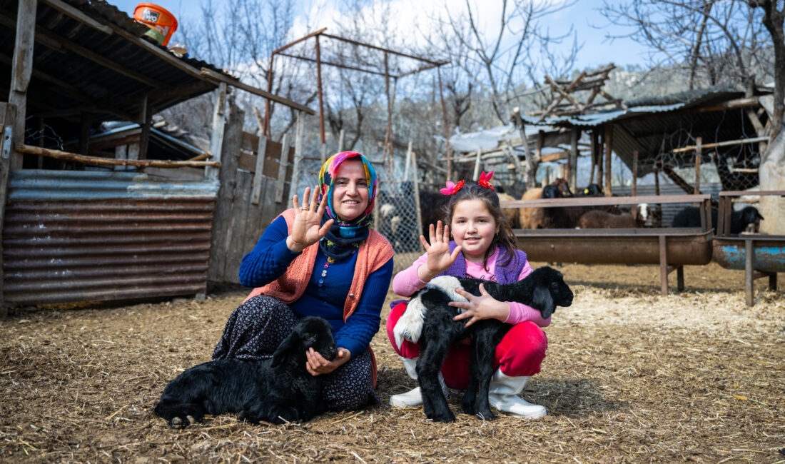 Mersin Büyükşehir Belediyesi Tarımsal