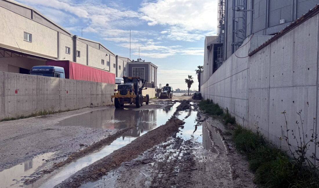 Akdeniz Belediyesi, yapılaşmanın hızlandığı