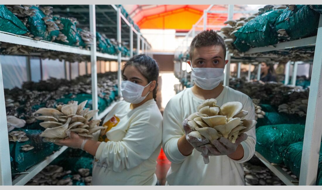 Tarsus Belediyesi, istihdama katkı