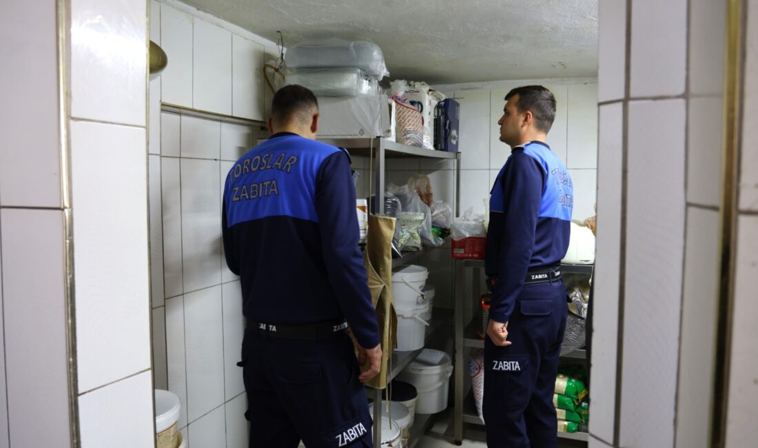 Toroslar Belediyesi Zabıta Müdürlüğü,