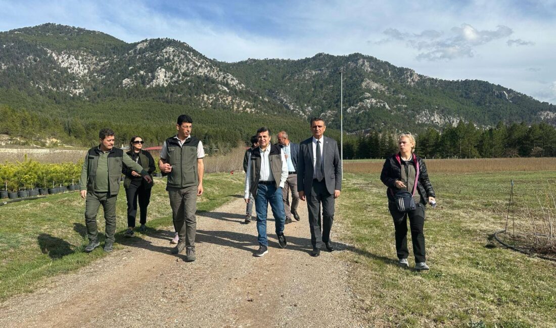 Orman Genel Müdürlüğü Fidanlık