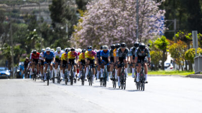 Mersin Büyükşehir Belediyesi tarafından düzenlenen