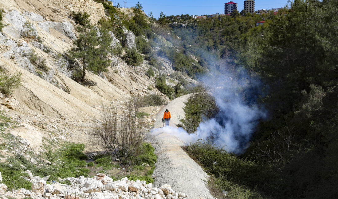 Mersin Büyükşehir Belediyesi Muhtarlık