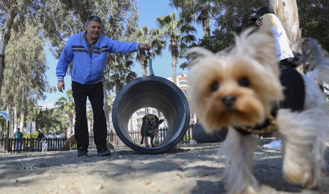 Mersin Büyükşehir Belediyesi Veteriner
