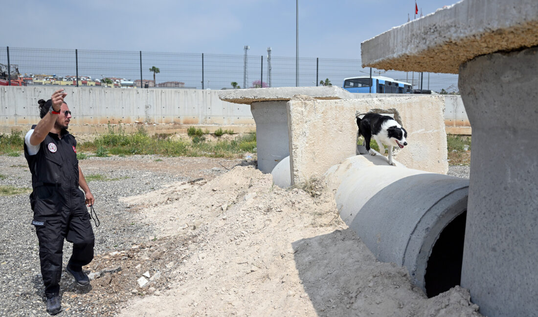 Mersin Büyükşehir Belediyesi İtfaiye