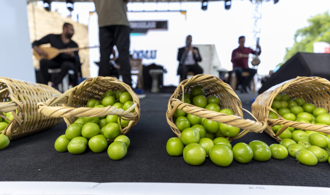 Her yıl Gülnar’ın coğrafi