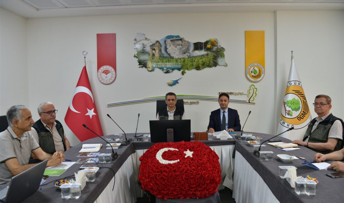 Mersin Orman Bölge Müdürlüğü