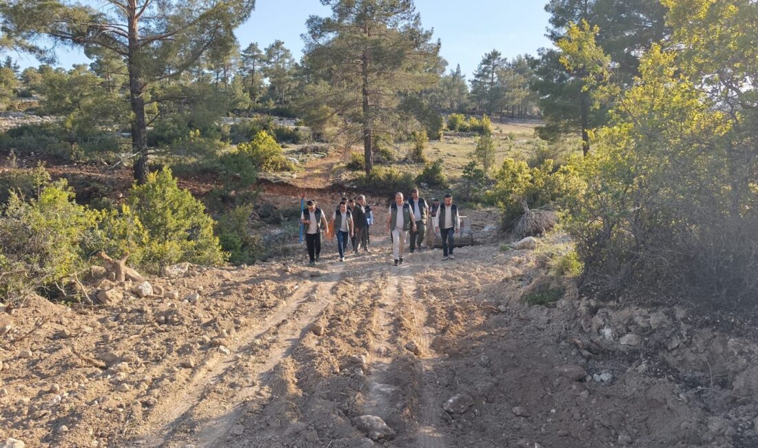 Mersin Orman Bölge Müdür