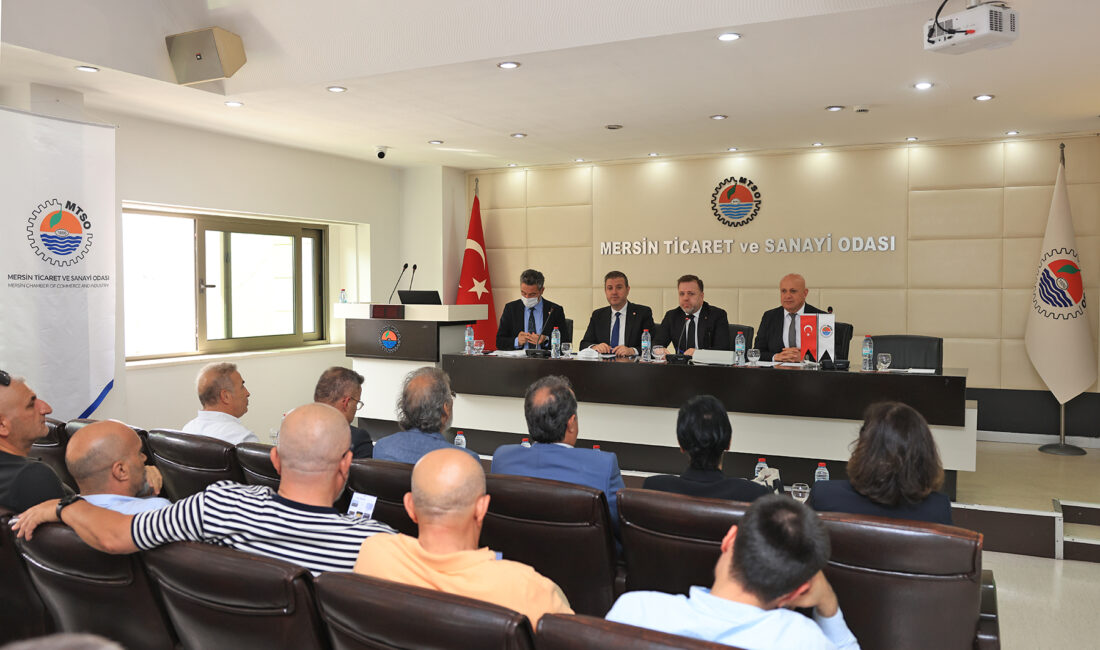 Türkiye’deki kamusal yükler de