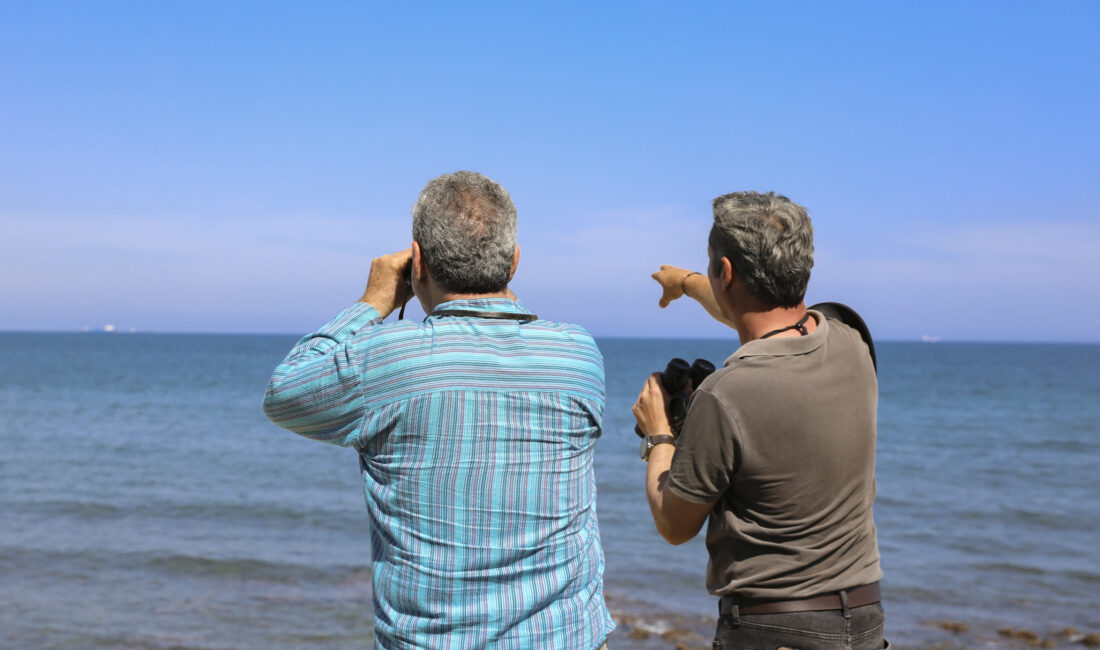 Mersin Büyükşehir Belediyesi, vatandaşların