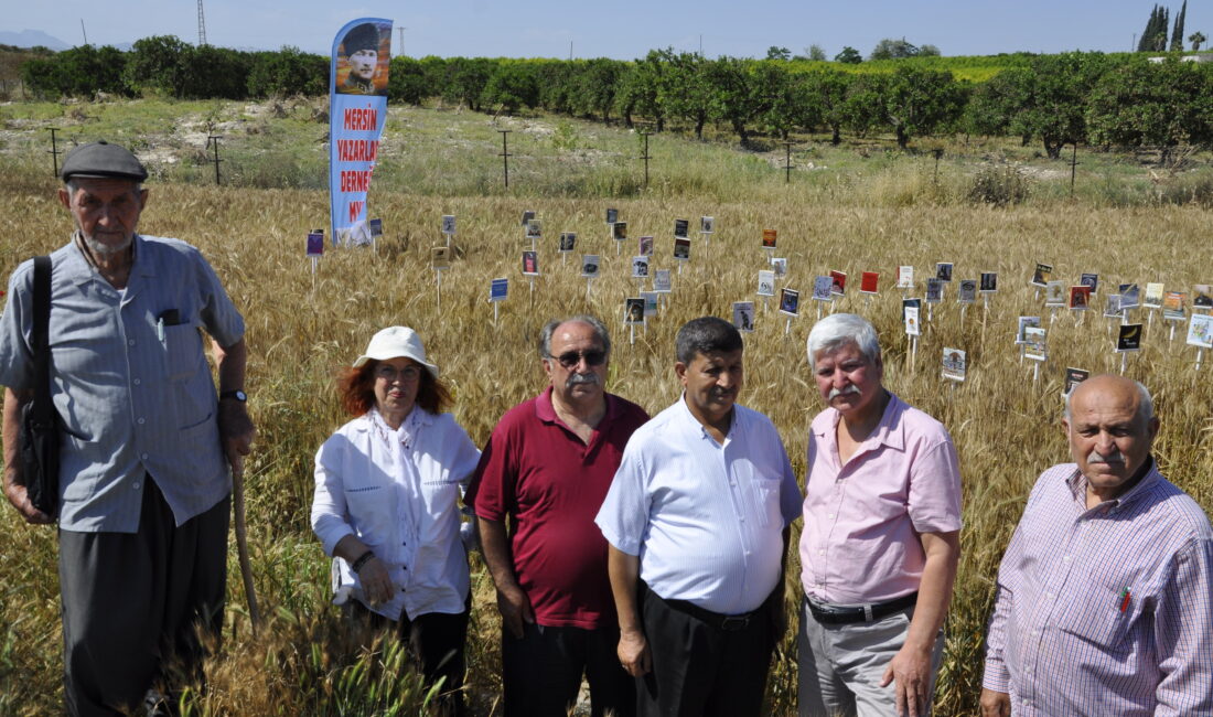 Tarlada başaklar boy atarken,