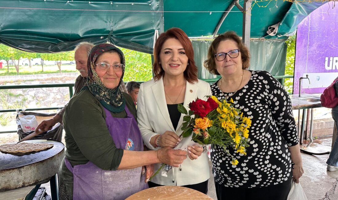 CHP Mersin Milletvekili Gülcan