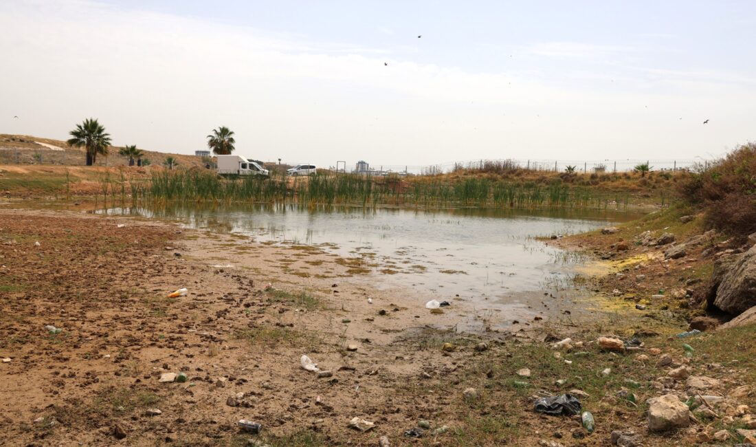 Toroslar Belediyesi, ilçeye daha