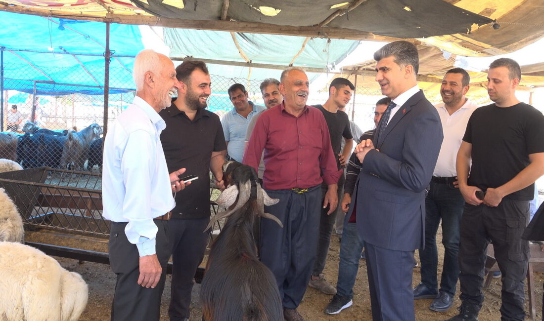 Akdeniz Belediyesi, yaklaşan Kurban