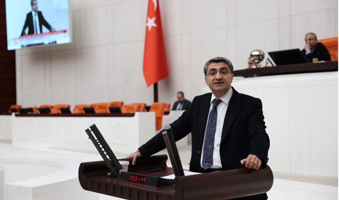DEVA Partili Ekmen: Emek siyasette yeterince temsil edilmiyor DEVA Partisi Genel Başkan