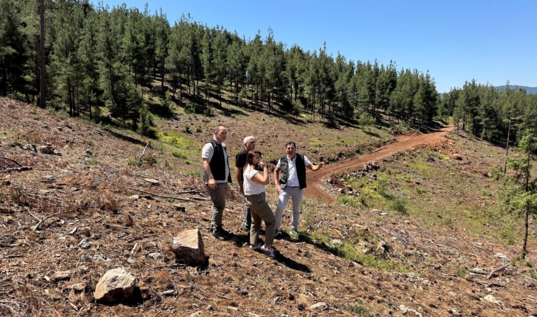 Mersin Orman Bölge Müdürlüğü’müze