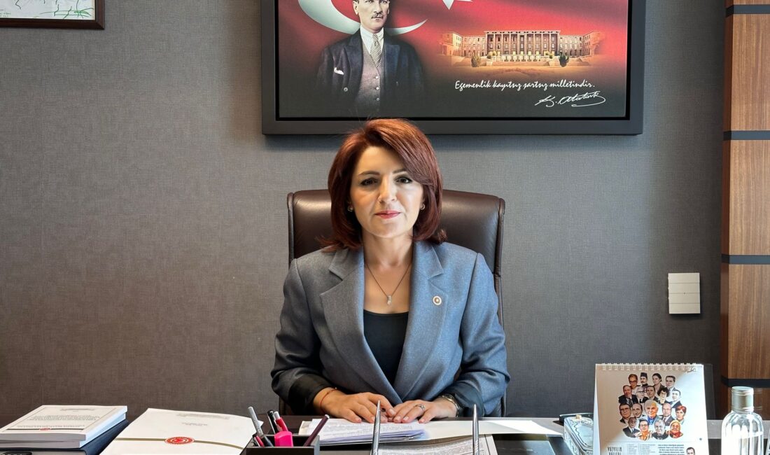 CHP Mersin Milletvekili Gülcan