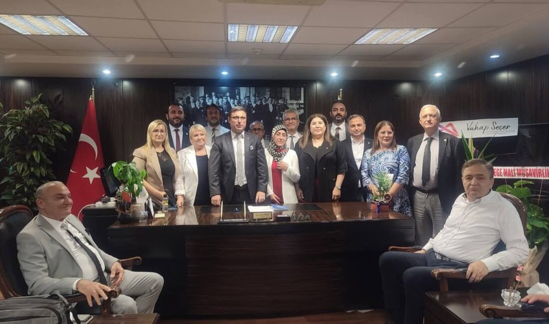 Mersin Serbest Muhasebeci Mali