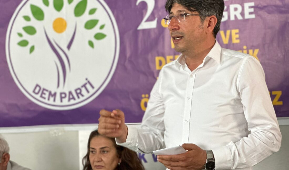 DEM Parti Erzin ilçe