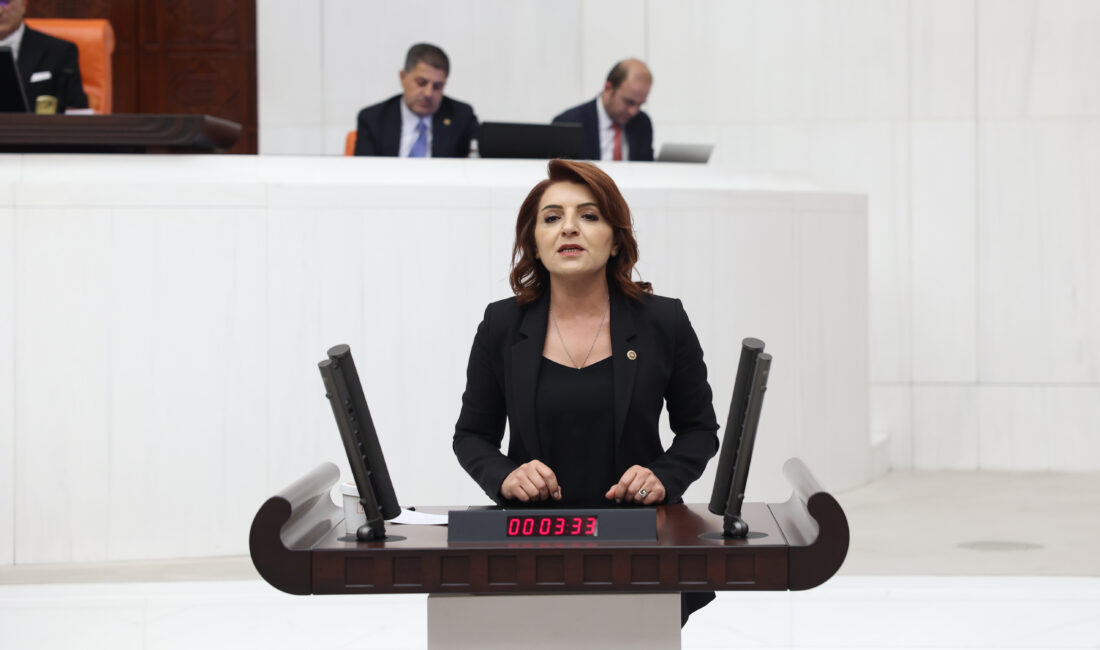 CHP’li Gülcan Kış’ın TÜGVA