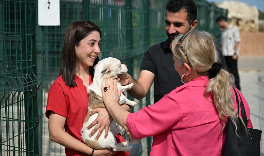 Mersin Büyükşehir Belediyesi Veteriner