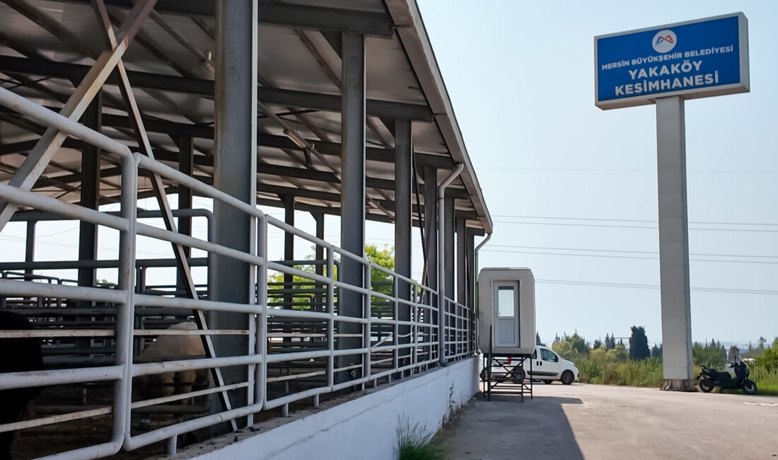 Mersin Büyükşehir Belediyesi, Kurban