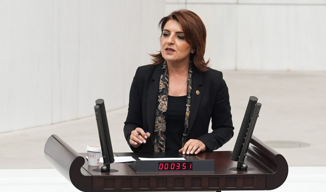 CHP Mersin Milletvekili Gülcan