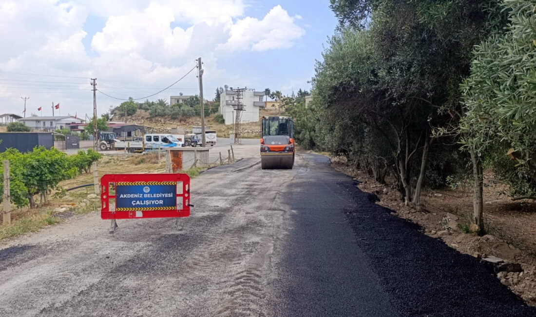 Akdeniz Belediyesi, üretimin yoğun