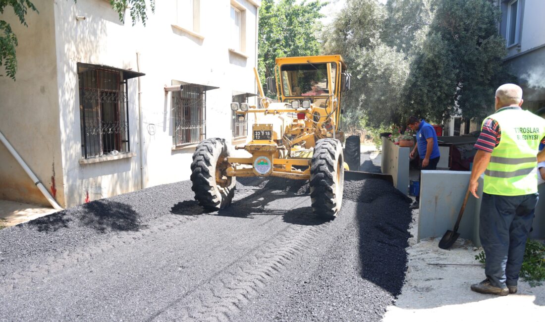 Toroslar Belediyesi, ilçe genelinde