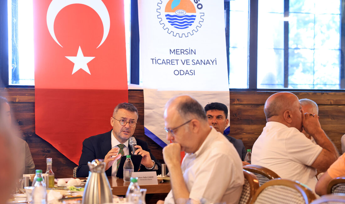 Kent ekonomisinin çatı organizasyonu