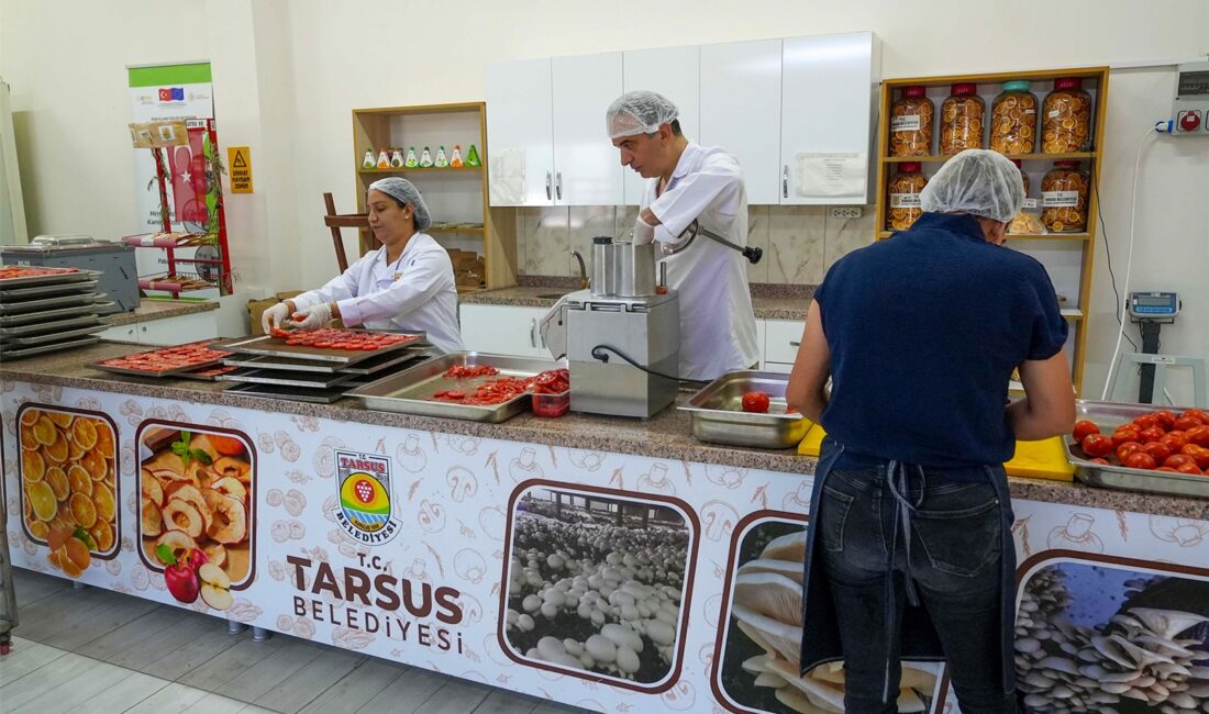 Tarsus Belediyesi, yerel üretimi