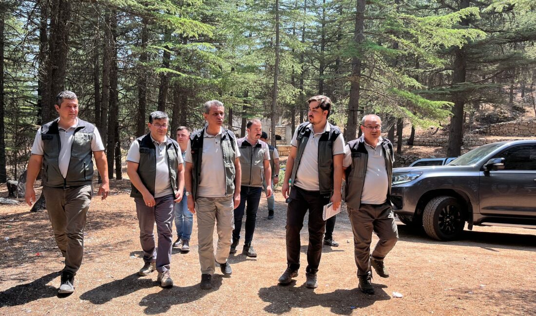 Mersin Orman Bölge Müdürü