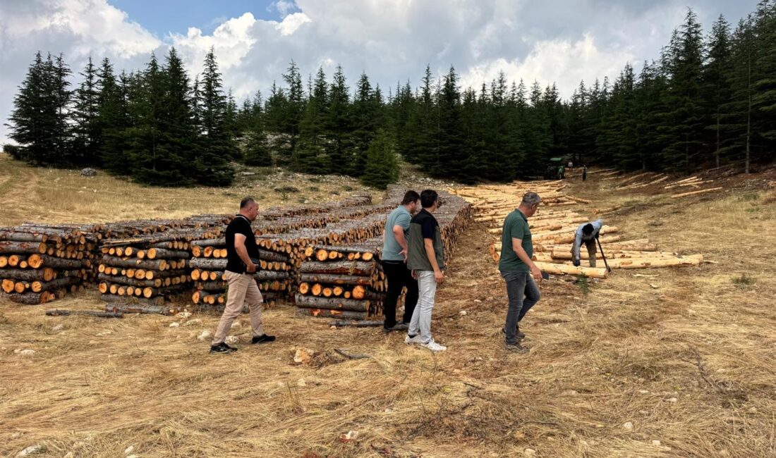 Arslanköy Üretim Sahasında İnceleme Mersin Orman Bölge Müdürlüğü’ne