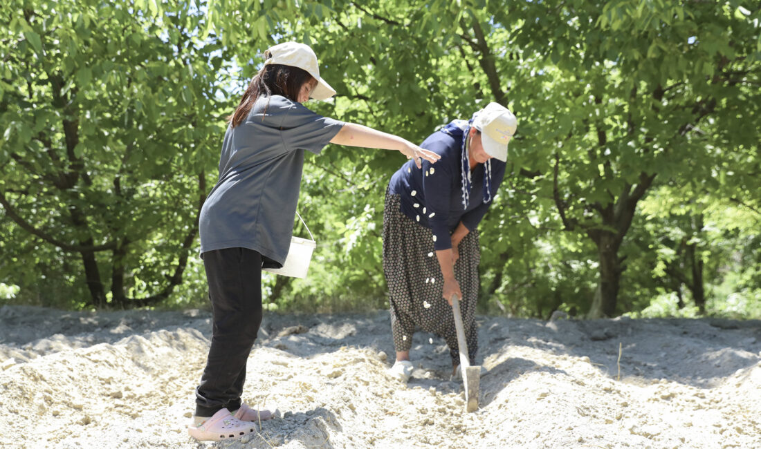 BÜYÜKŞEHİR ATALIK TOHUMLARIN YOLCULUĞUNA EŞLİK EDİYOR Mersin Büyükşehir Belediyesi, yerel