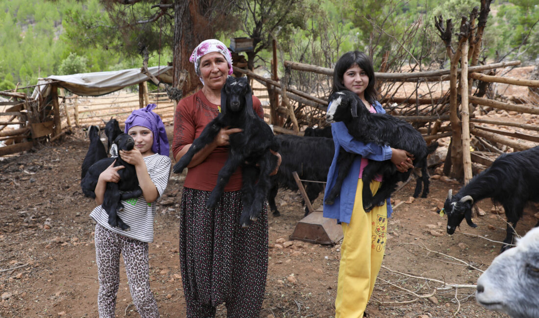 Mersin Büyükşehir Belediyesi’nin, kuraklıkla