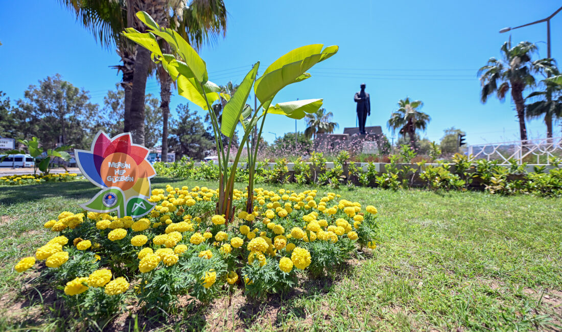 Mersin Büyükşehir Belediyesi, Park