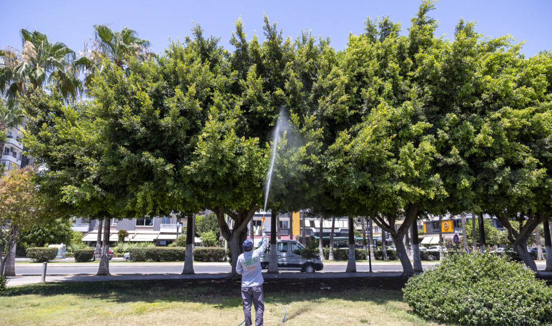 Mersin Büyükşehir Belediyesi Çevre