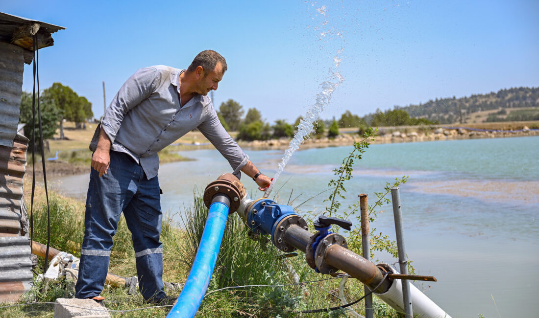 Tarıma yönelik destekleri ile