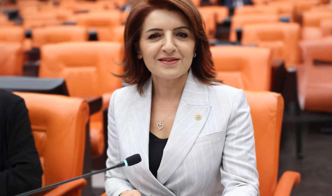 CHP Mersin Milletvekili Gülcan