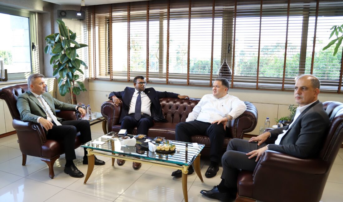 MIP Mersin Liman İşletmesi