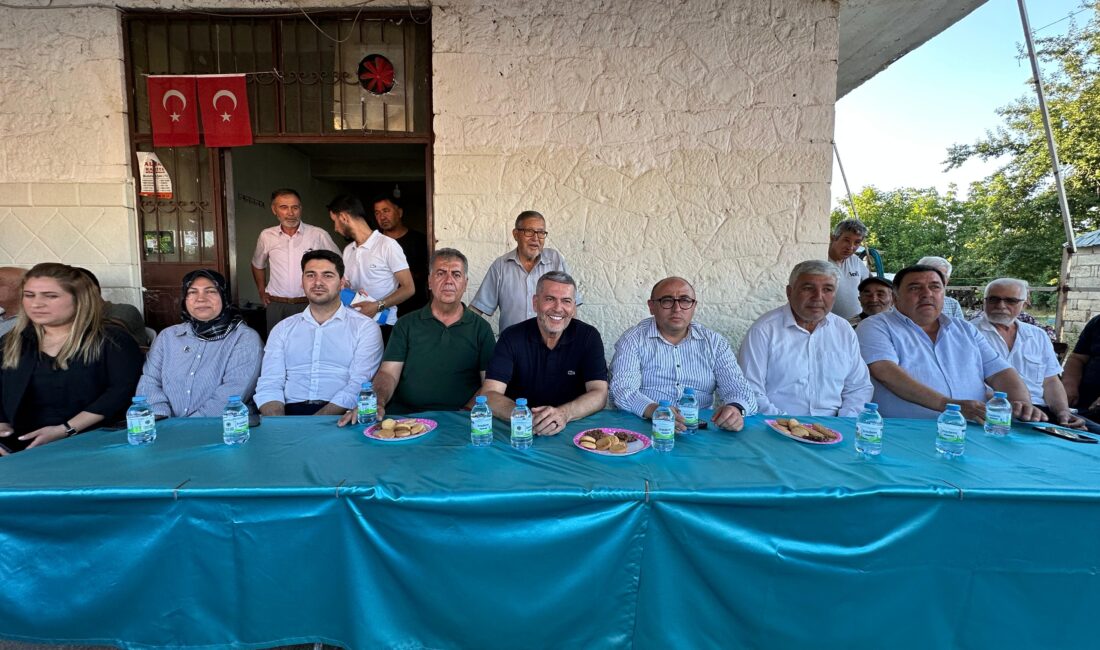 Milliyetçi Hareket Partisi Mersin