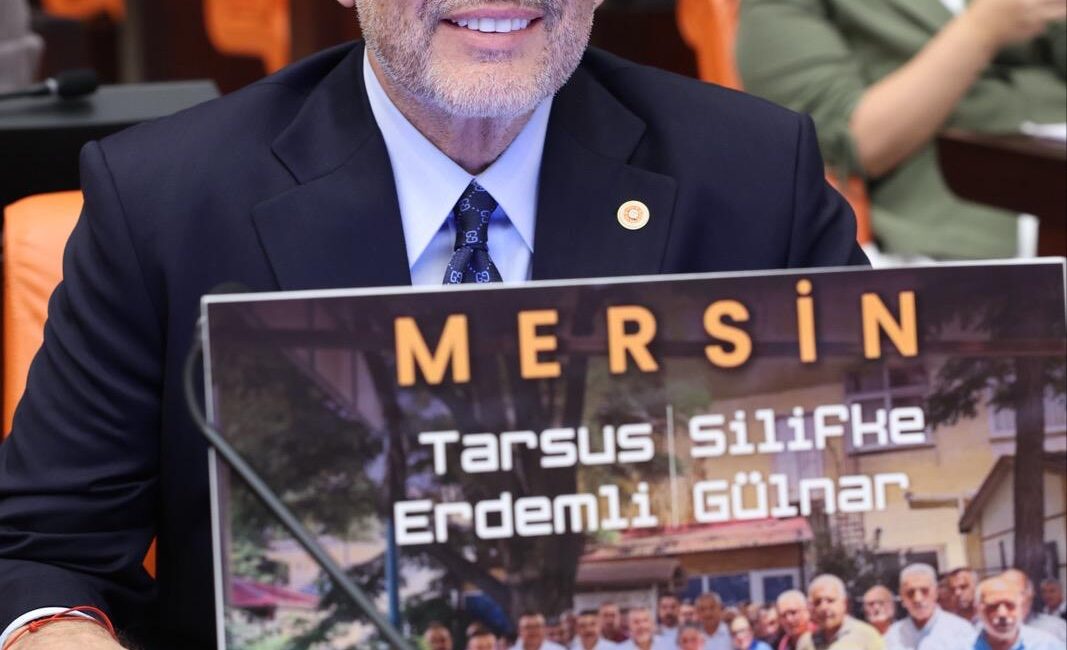 Milliyetçi Hareket Partisi Mersin