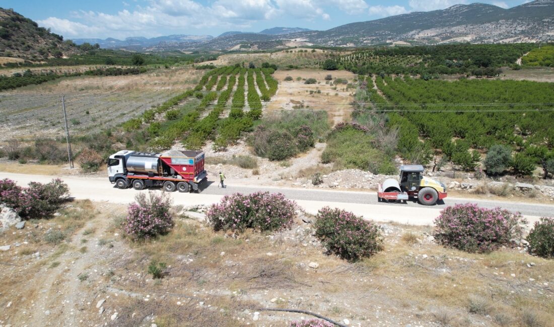 Akdeniz Belediyesi, tarımsal üretimin