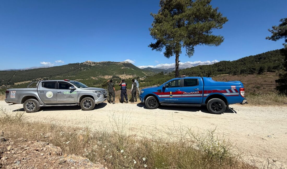 Tarsus Orman İşletme Müdürlüğü