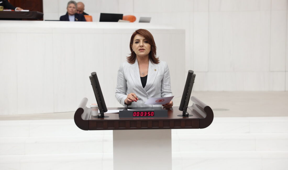 CHP Mersin Milletvekili Gülcan