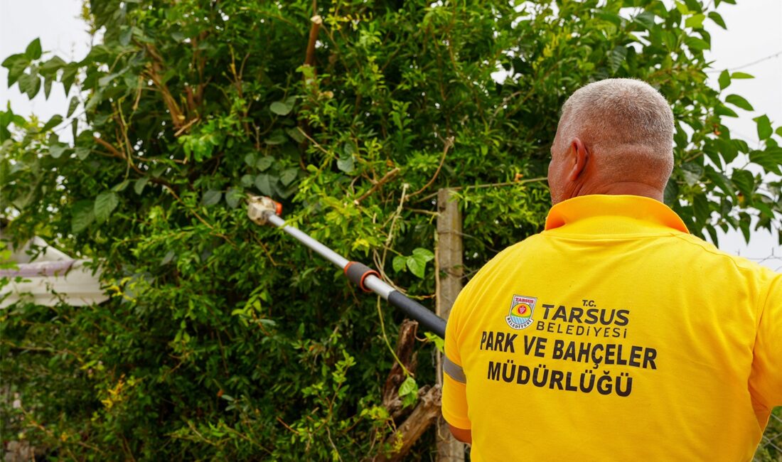 Tarsus Belediyesi, kent genelinde