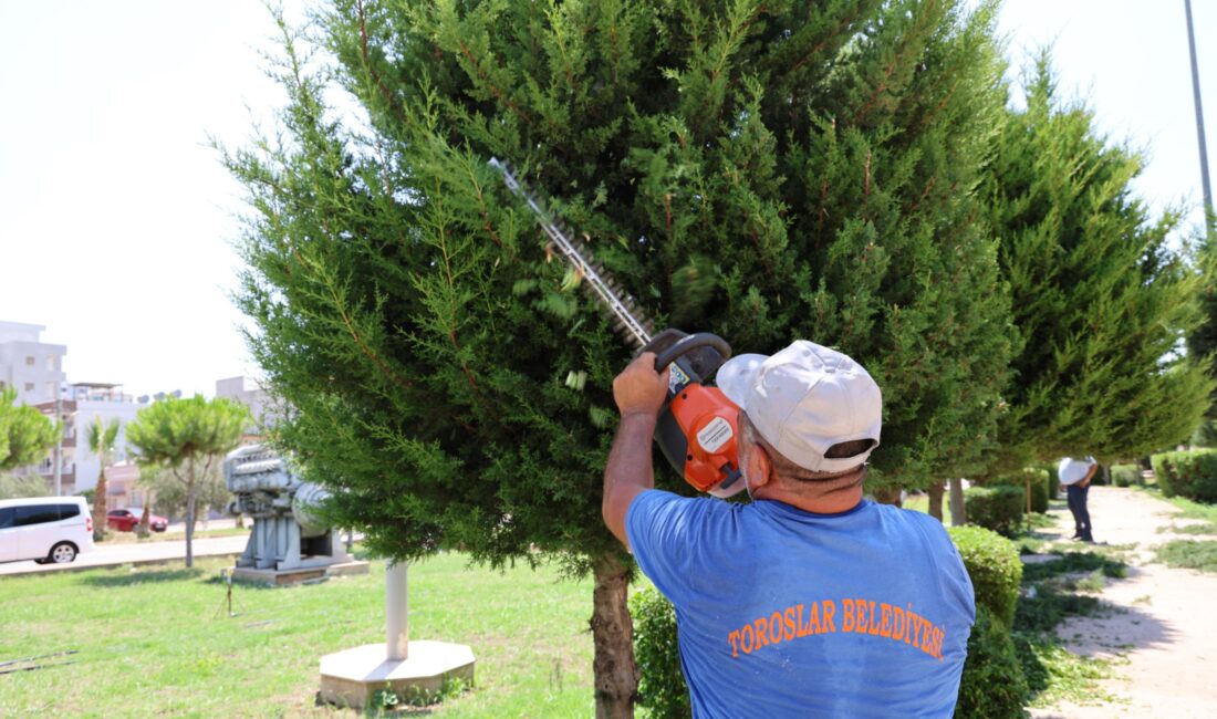 Toroslar Belediyesi, kent estetiğini